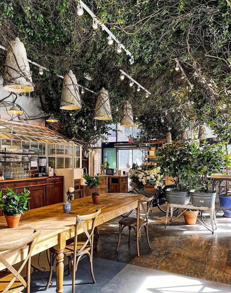 Maman - Cobble Hill — Opulist